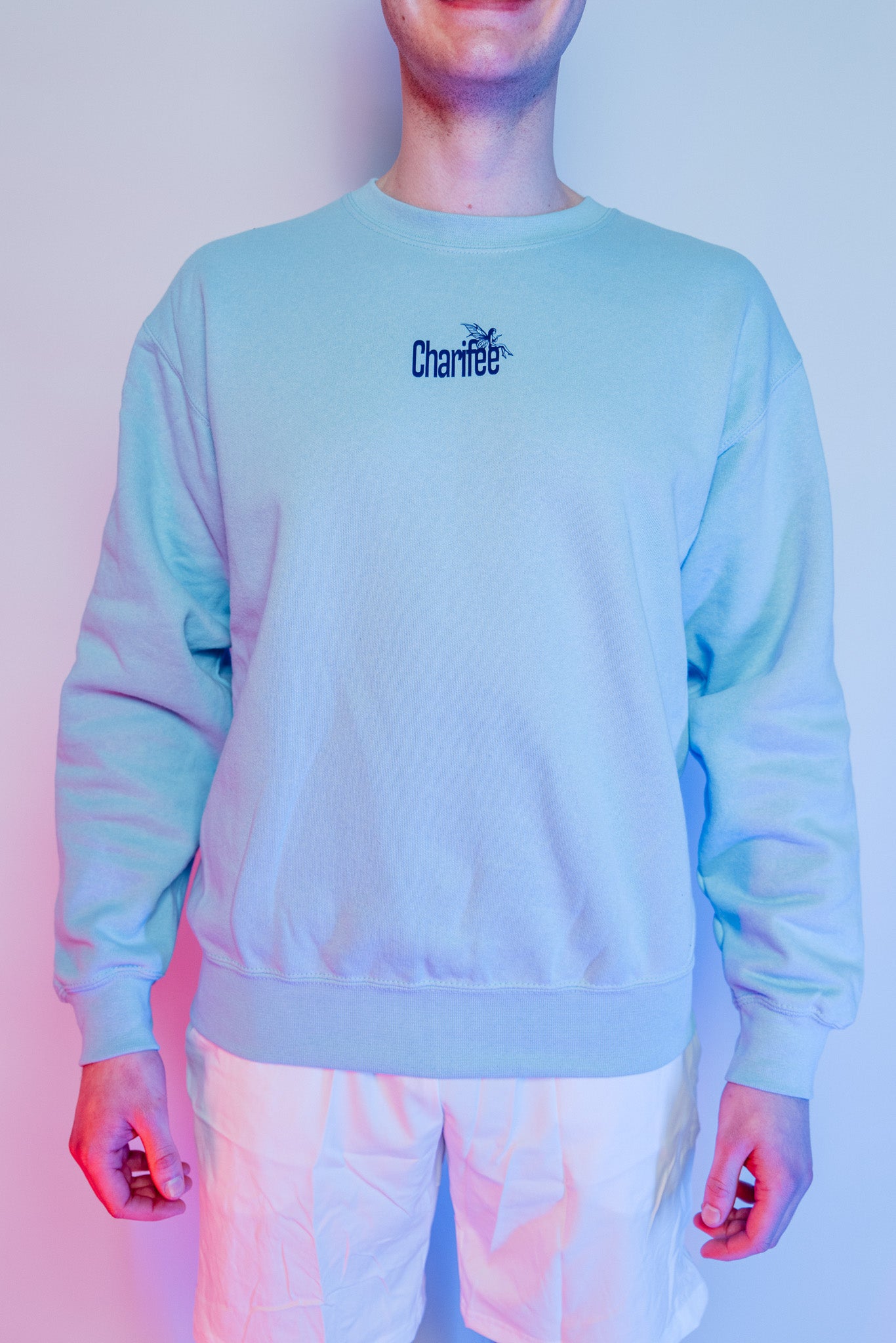 Sweater - ChariFEE