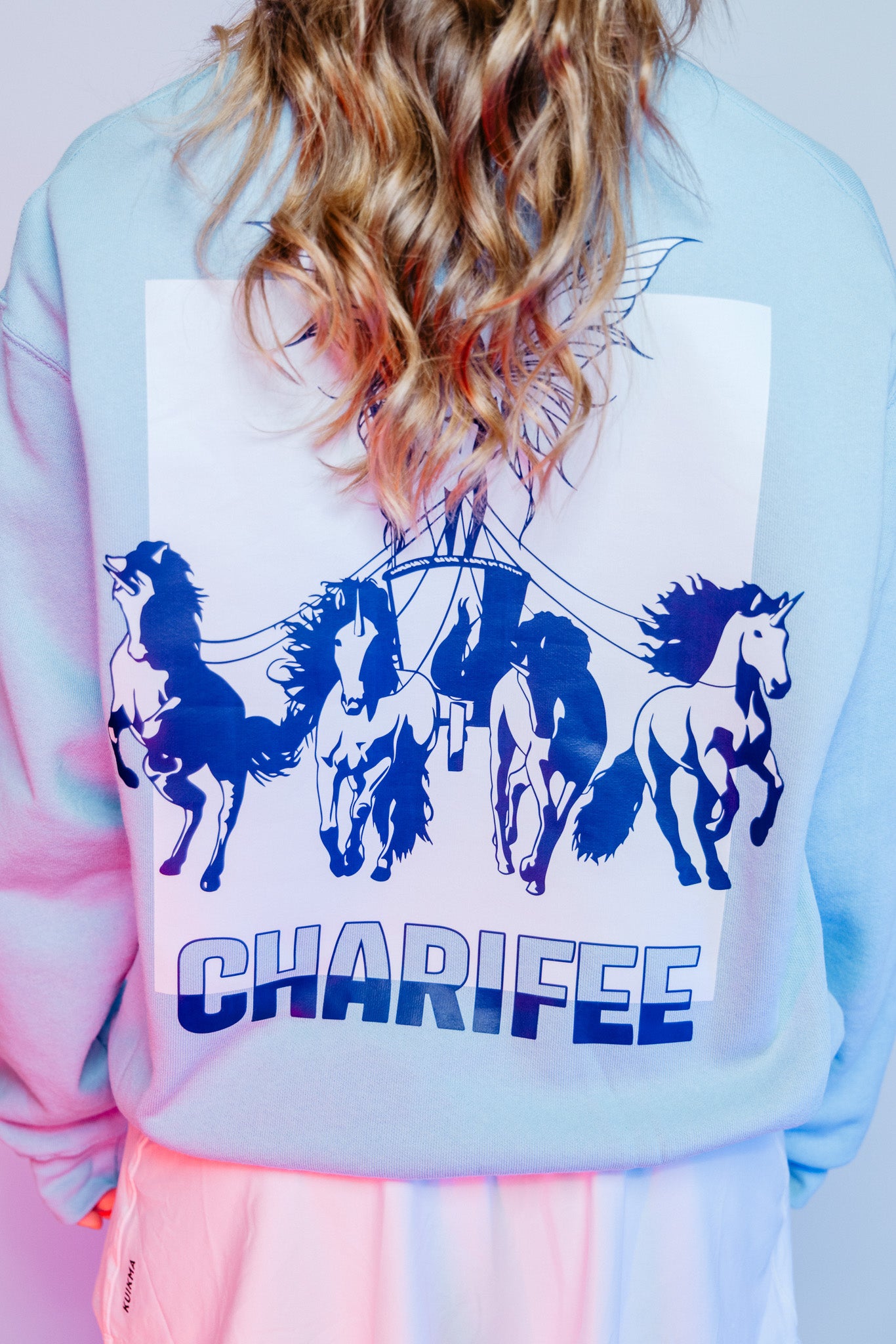 Sweater - ChariFEE